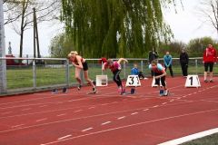 Bild-118