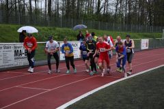 Bild-274
