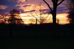 Bild-290