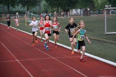 Bild-103