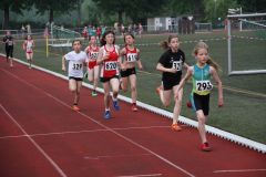 Bild-104