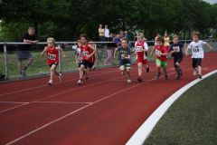 Bild-145