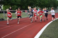 Bild-146