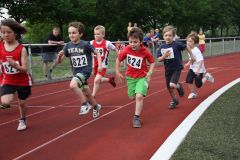 Bild-148