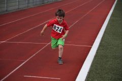 Bild-155