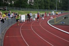Bild-177