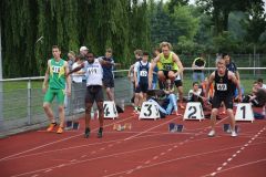 Bild-133