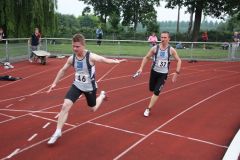 Bild-223