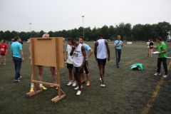 Bild-245