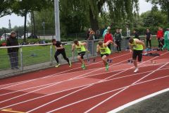 IMG_5318