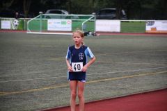 Bild-101