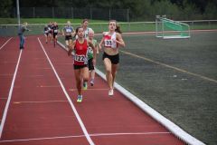 Bild-119