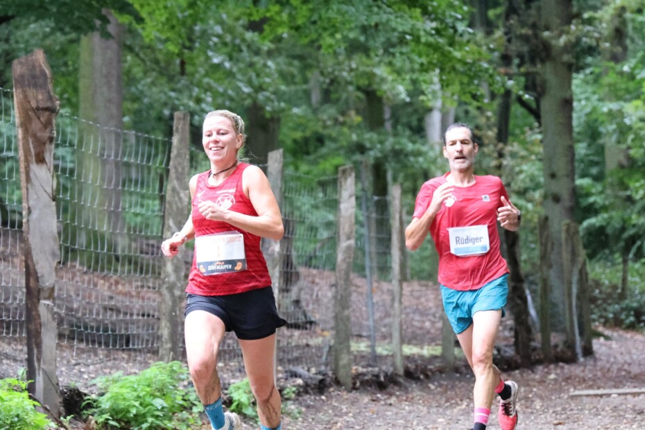Seidenraupen-Cross in Krefeld